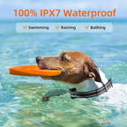 SmartPet Trainer Waterproof Rechargeable Collar with Remote