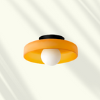 Flush Mount Stylish LED Ceiling Light Fixture