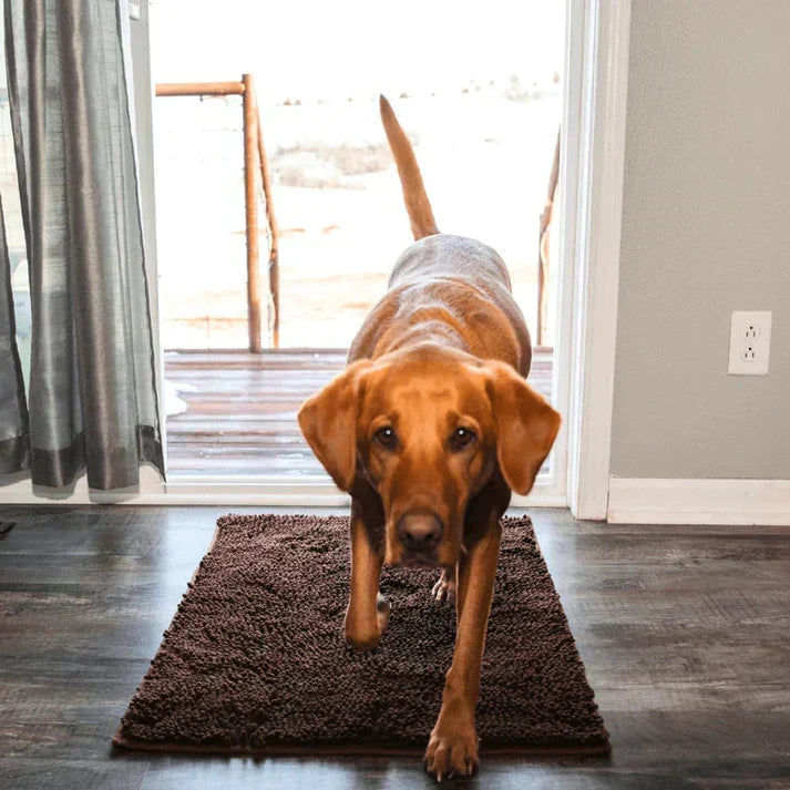 Dog Mat Ultra-Absorbent Chenille Non-Slip & Machine Washable
