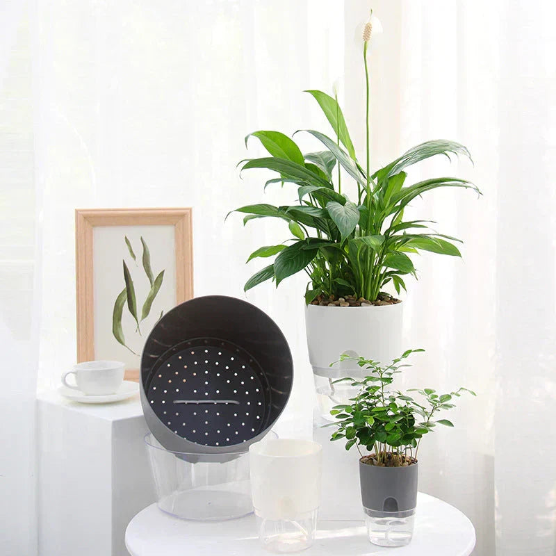 Self-Watering Plant Pot 20-Day Reservoir Transparent Base