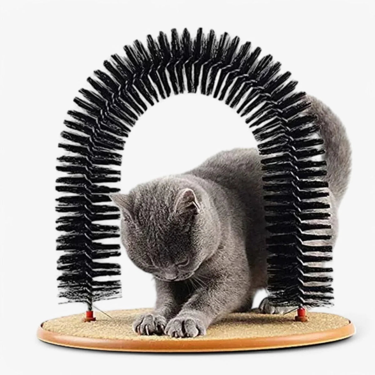 Cat Grooming Arch Massage Brushes & Scratching Mat