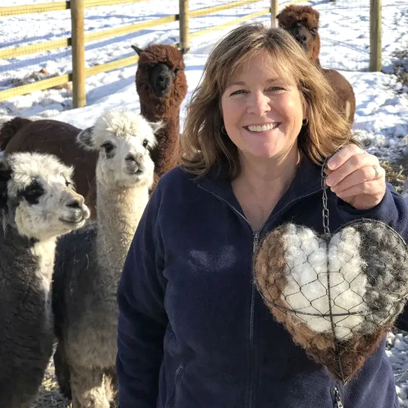 Alpaca-Filled Heart-Shaped Bird Nesting Material Dispenser