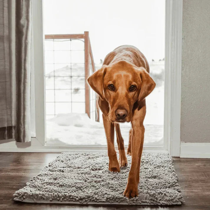 Dog Mat Ultra-Absorbent Chenille Non-Slip & Machine Washable