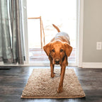 Dog Mat Ultra-Absorbent Chenille Non-Slip & Machine Washable