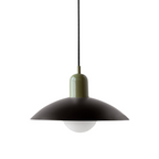 Ceiling Light Fixture with Curved Metal Shade - Hanging Design
