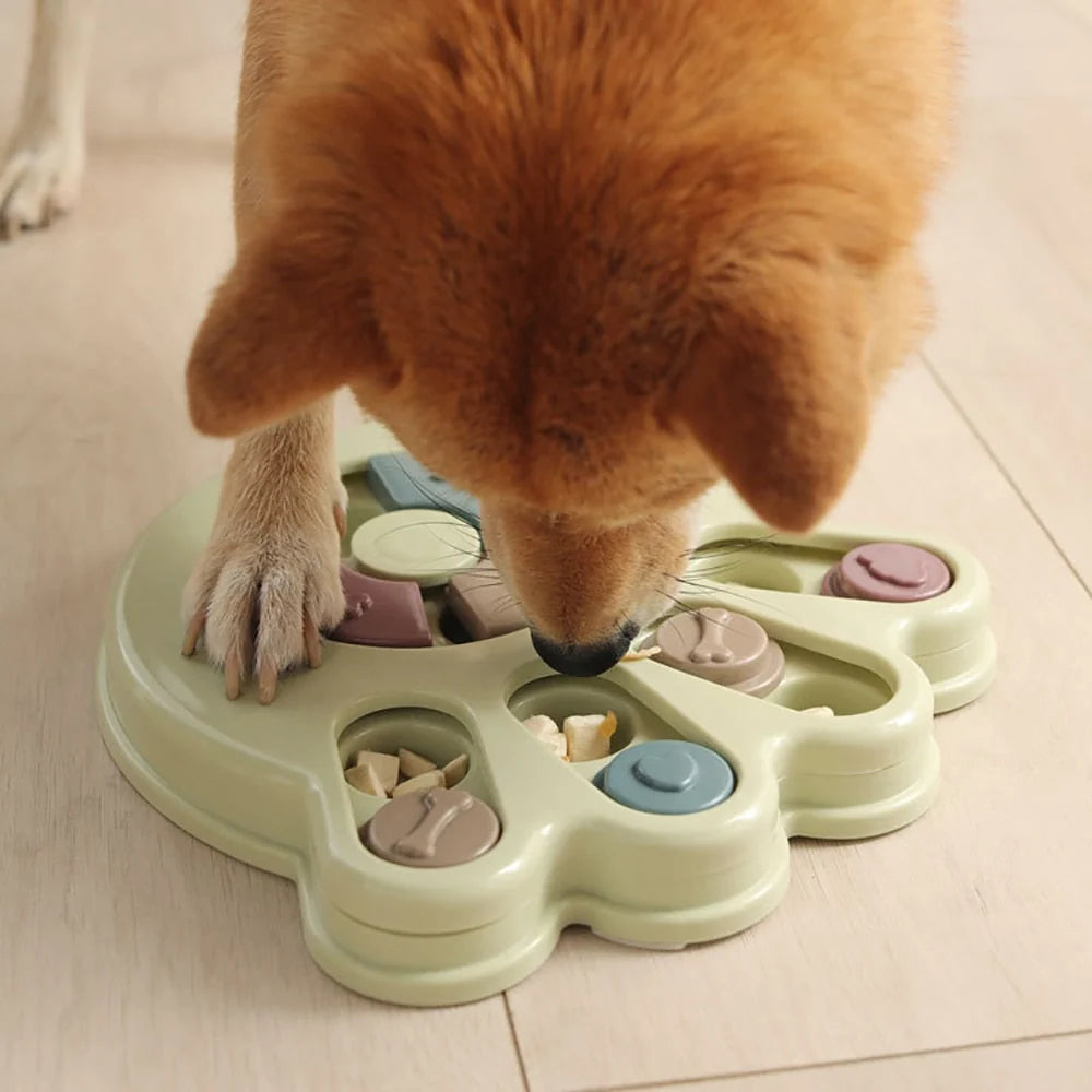 Dog Puzzle Trainer Interactive Sliding Treat Puzzle