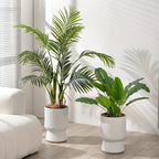 Self-Watering Planter with Water Level Indicator – Modern Wine Glass Shape