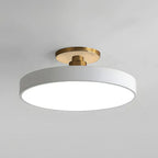 Stylish Dual-Tone LED Ceiling Fixture with Remote Dimming