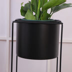 Contemporary Black Rectangular Plant Holder for Indoor Use