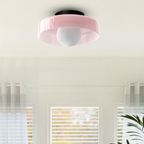 Flush Mount Stylish LED Ceiling Light Fixture
