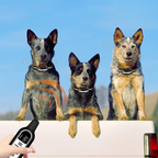 SmartPet Trainer Waterproof Rechargeable Collar with Remote