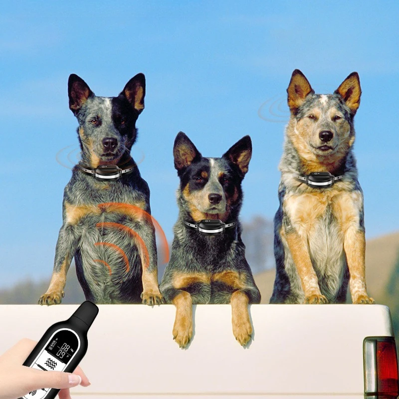 SmartPet Trainer Waterproof Rechargeable Collar with Remote