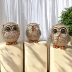 Charming Golden Owl Set of 3