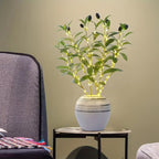 Serene Olive Branch LED Lights for Elegant Ambiance
