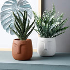 Earthy Elegance Face Planter with Sculpted Design