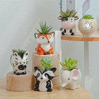 Whimsical Succulent Planters – Unique Ceramic Indoor Flower Pots, 3.15 x 2.76 x 2.95 inches