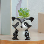 Whimsical Succulent Planters – Unique Ceramic Indoor Flower Pots, 3.15 x 2.76 x 2.95 inches