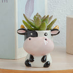 Whimsical Succulent Planters – Unique Ceramic Indoor Flower Pots, 3.15 x 2.76 x 2.95 inches