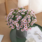 Tabletop Home Decor with Artificial Daisy Flowers for Mother's Day Gift