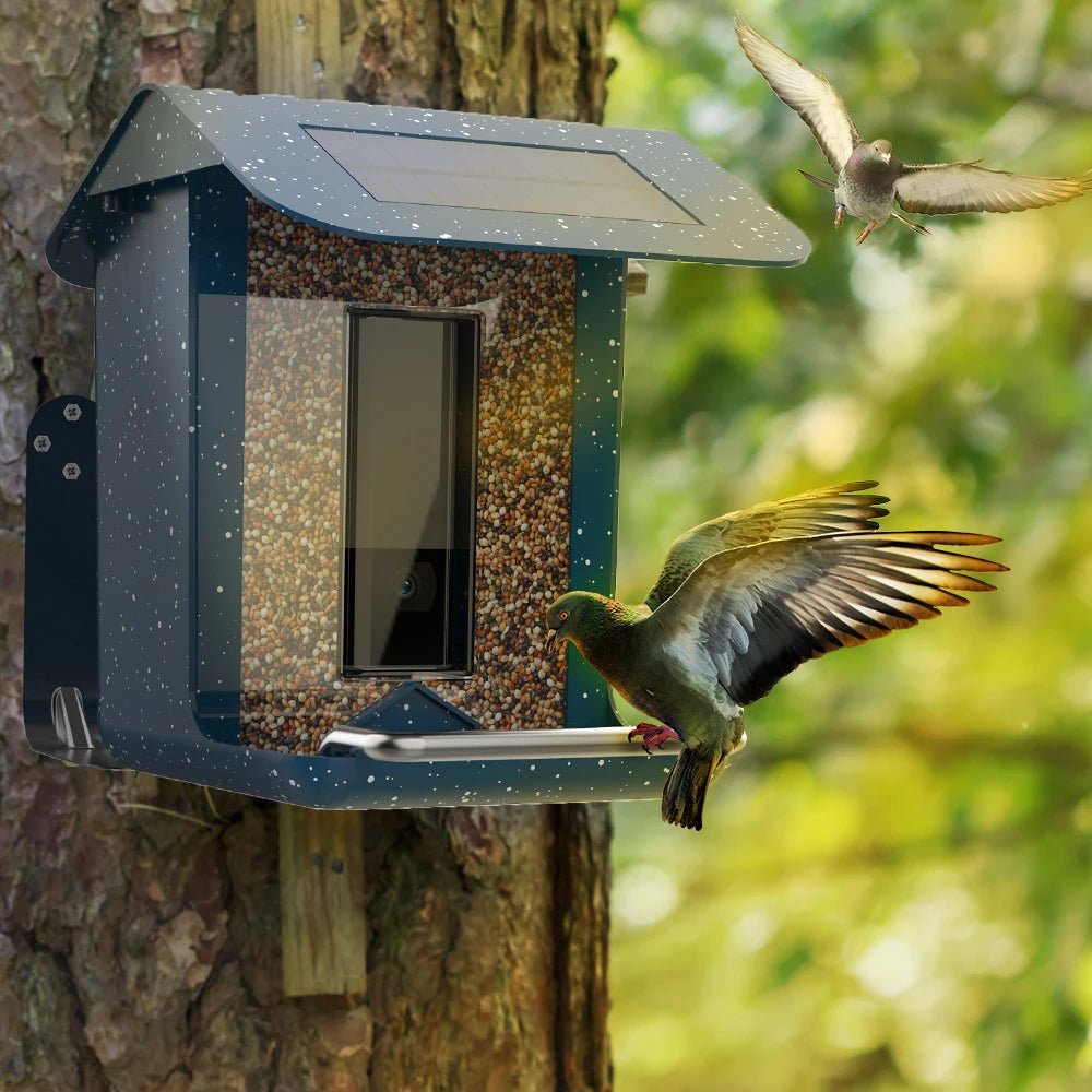 Smart Outdoor Bird Feeder with Camera View