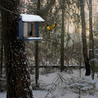 Smart Outdoor Bird Feeder with Camera View