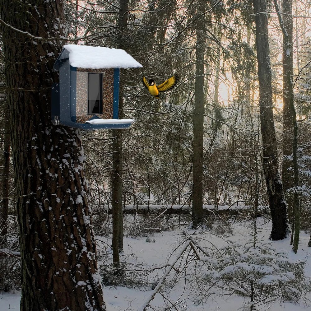 Smart Outdoor Bird Feeder with Camera View