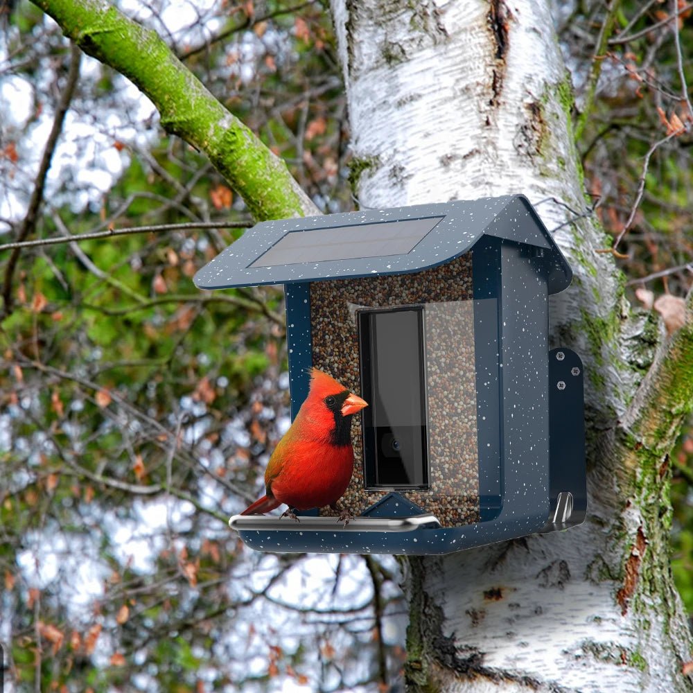 Smart Outdoor Bird Feeder with Camera View