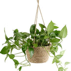 Handwoven Macramé Plant Hanger – Rustic Indoor Planter Display