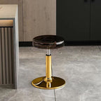 Height Adjustable Modern Dining Chair | Acrylic and Steel Bar Stool