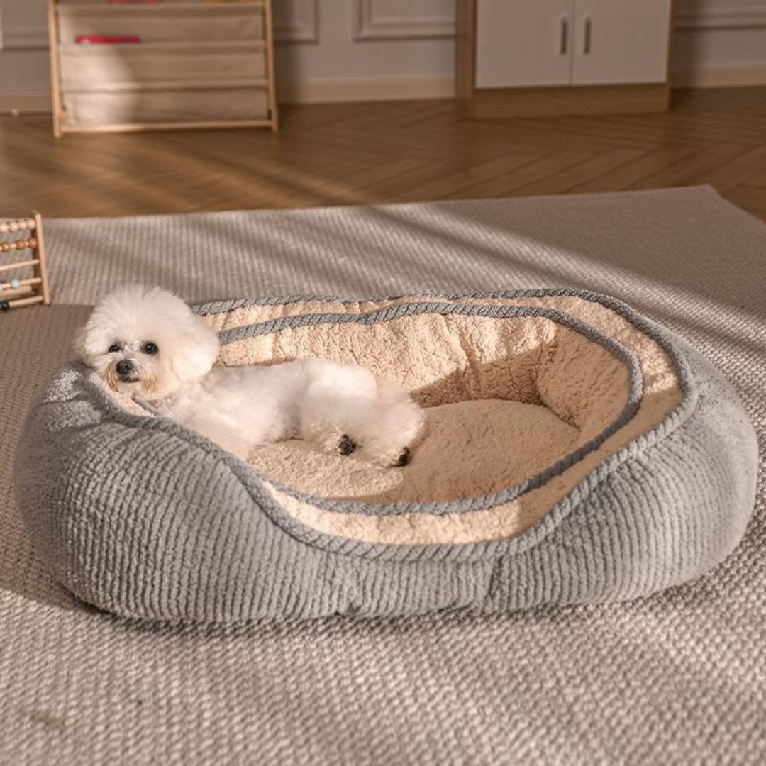 Year-Round Comfort Dog Bed for Small to Medium Dogs
