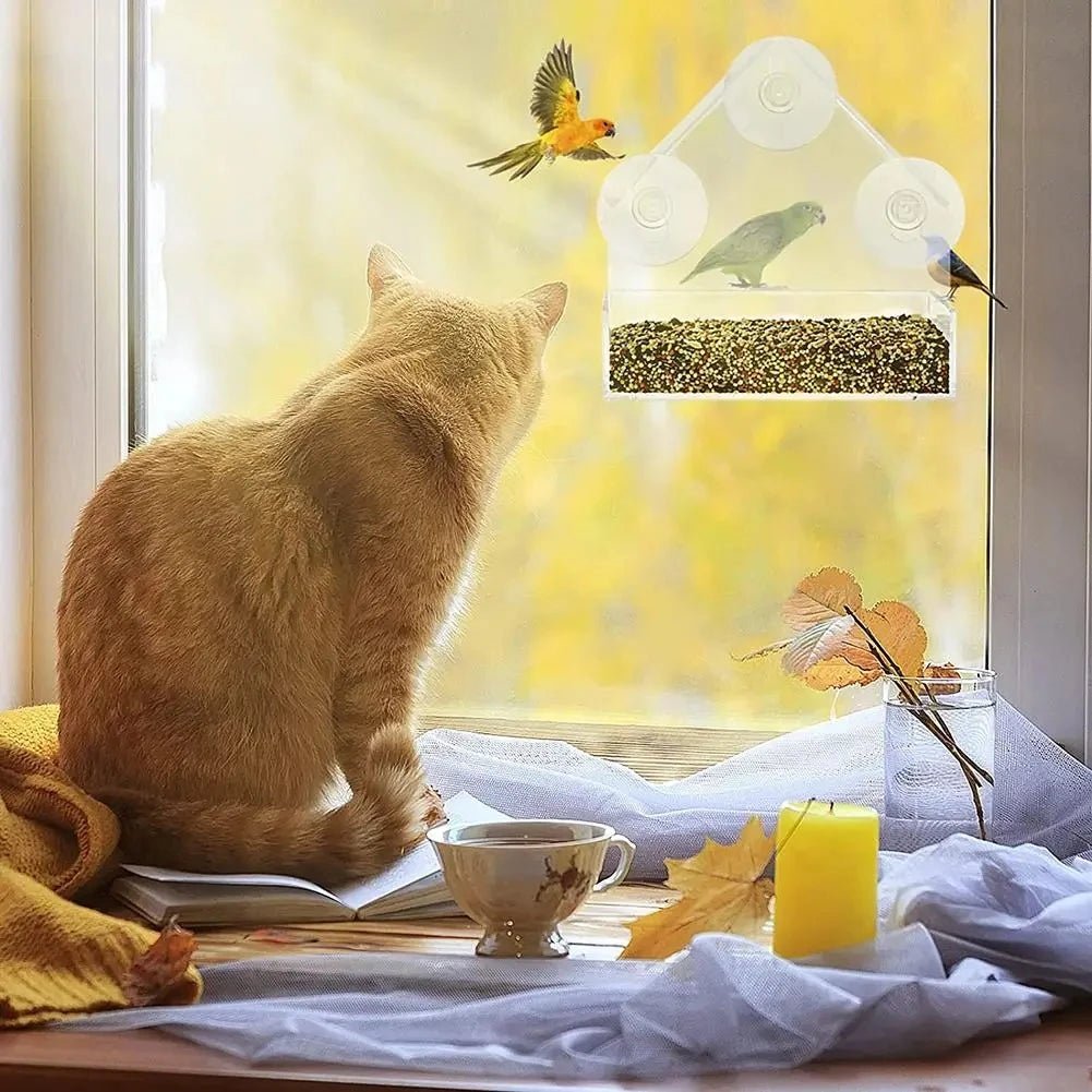 Window Bird Feeder - Modern Design for Close-Up Birdwatching
