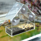 Window Bird Feeder - Modern Design for Close-Up Birdwatching