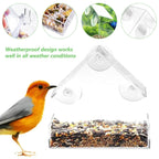 Window Bird Feeder - Modern Design for Close-Up Birdwatching