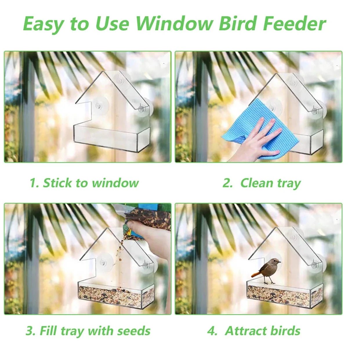 Window Bird Feeder - Modern Design for Close-Up Birdwatching