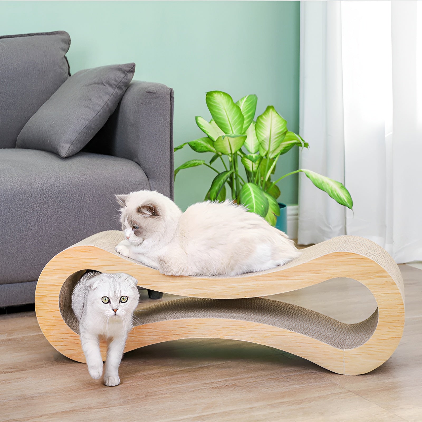 Curved Cat Scratching Lounge Bed for Claw Relaxation