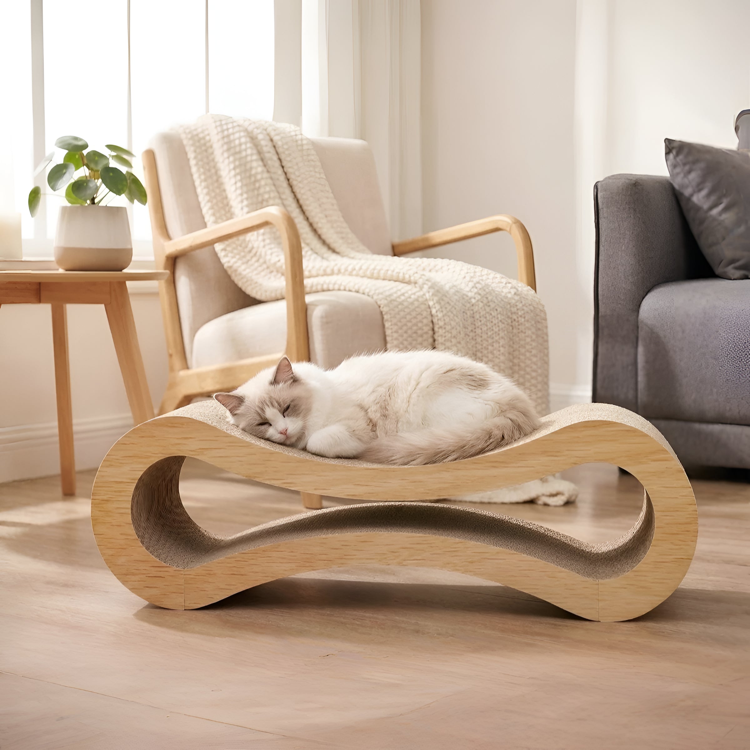 Curved Cat Scratching Lounge Bed for Claw Relaxation