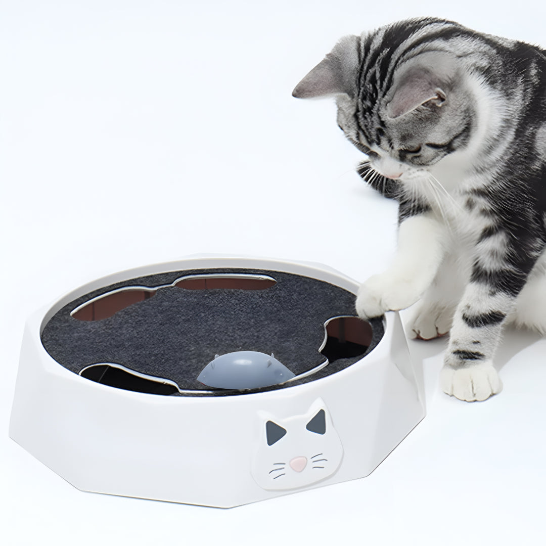 Interactive Activity Center with Scratch Pad for Cats and Mouse Toy