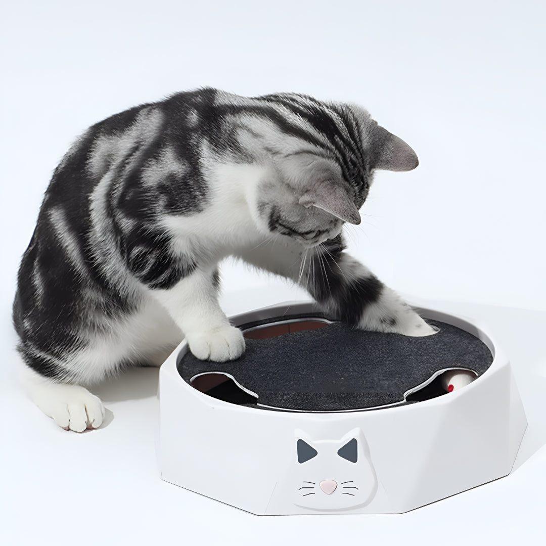 Interactive Activity Center with Scratch Pad for Cats and Mouse Toy