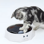 Interactive Activity Center with Scratch Pad for Cats and Mouse Toy