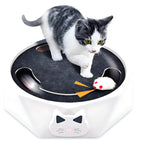 Interactive Activity Center with Scratch Pad for Cats and Mouse Toy