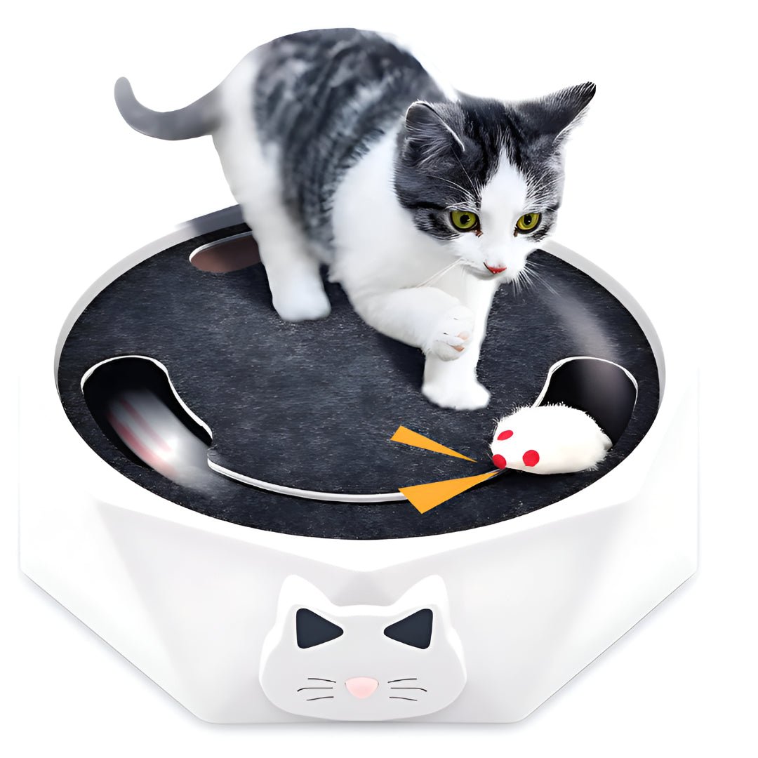 Interactive Activity Center with Scratch Pad for Cats and Mouse Toy