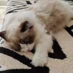 Elegant Microfiber Sofa Protector