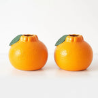 Vibrant Citrus Charm Plant Holder
