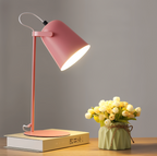 Versatile Iron Reading Lamp with Adjustable Shade