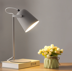 Versatile Iron Reading Lamp with Adjustable Shade