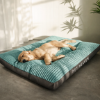 Plush Haven Pet Bed for Ultimate Comfort