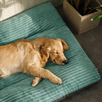 Plush Haven Pet Bed for Ultimate Comfort