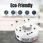 Sleek Non-Toxic Insect Catcher