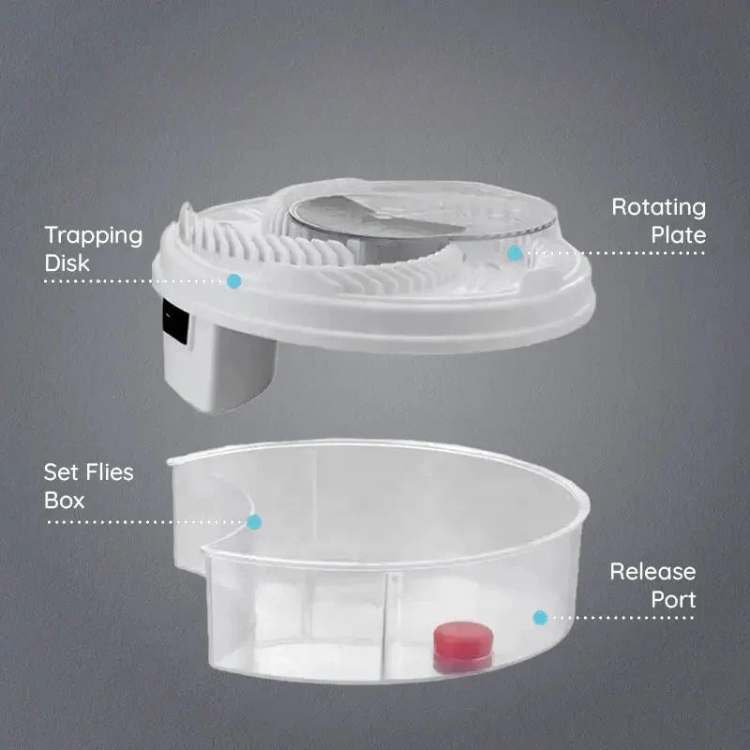 Sleek Non-Toxic Insect Catcher