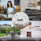 Sleek Non-Toxic Insect Catcher